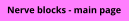 Nerve blocks - main page