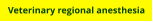 Veterinary regional anesthesia