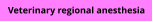Veterinary regional anesthesia