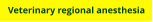 Veterinary regional anesthesia