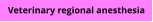 Veterinary regional anesthesia