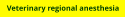 Veterinary regional anesthesia