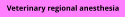 Veterinary regional anesthesia