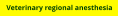 Veterinary regional anesthesia