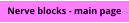 Nerve blocks - main page