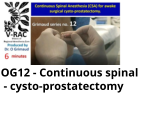 OG12 - Continuous spinal  - cysto-prostatectomy
