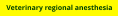Veterinary regional anesthesia