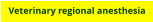 Veterinary regional anesthesia