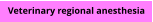 Veterinary regional anesthesia