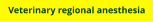 Veterinary regional anesthesia