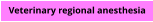 Veterinary regional anesthesia