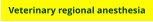 Veterinary regional anesthesia