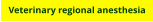 Veterinary regional anesthesia