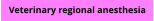 Veterinary regional anesthesia