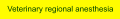 Veterinary regional anesthesia