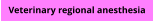 Veterinary regional anesthesia