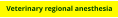 Veterinary regional anesthesia